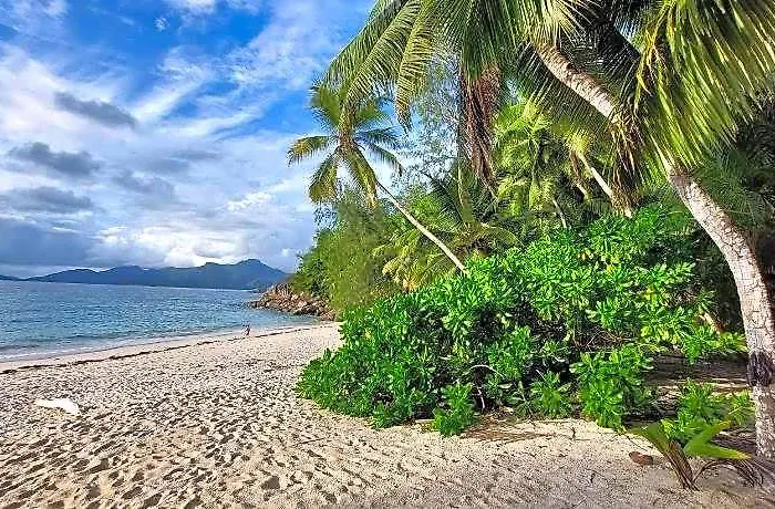 Hotel My Paradise 4*
