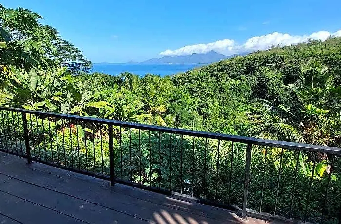 My Paradise